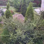 The * Smolyan