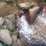 The سموليان