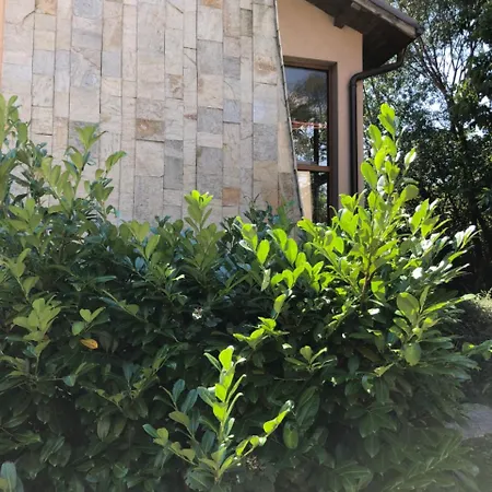 The