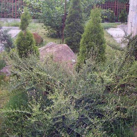 The * Σμόλιαν
